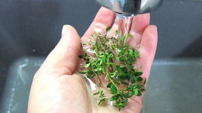 Soupe aux petits pois - 4.3