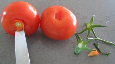 Tomates-cerises à la mozzarella - 2.2