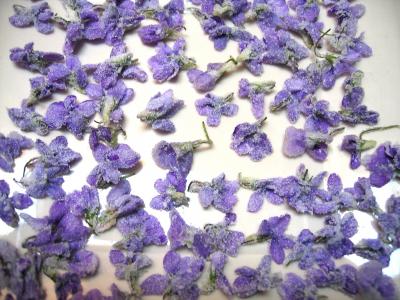 Recette Fleurs cristallisées