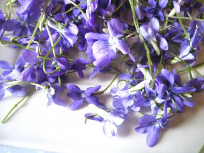 Fleurs cristallisées - 1.1