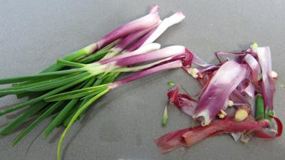 Courgettes au gratin - 1.4
