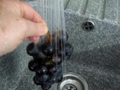 Flan aux raisins muscat - 2.2