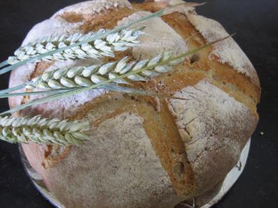 Recette Pain de campagne au poolish