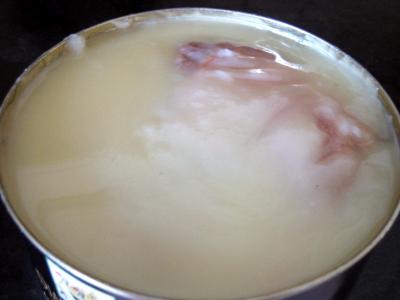 Confit de canard sauce gorgonzola - 1.1