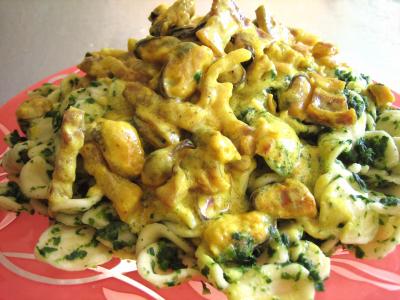 épinard : Assiettes d'orecchiettes aux moules