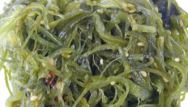 Image : Wakame - Wakame