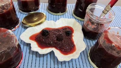 Conserves : Bocaux de chutney de mûres aux pommes