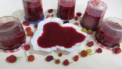 Image : recette Coulis de fruits rouges (conserves)
