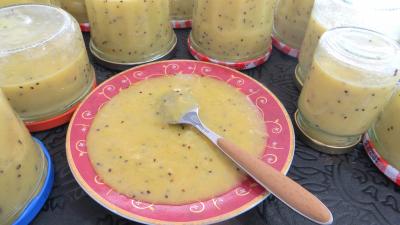 Pour débutants : Coupelle de coulis de kiwis et courge