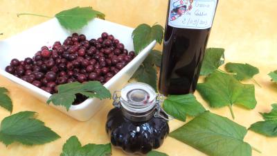 Recettes sans gluten : Bouteille de crème de cassis