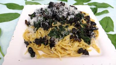 Pâtes alimentaires : Assiette de tagliatelles sautées aux épinards