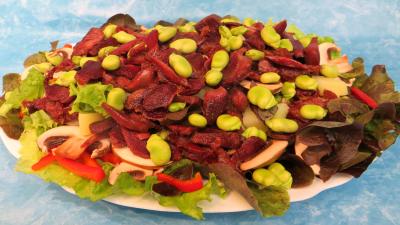 La cuisine des grand-mères : Plat de fèves en salade aux gésiers confits