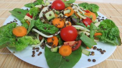 Cuisine diététique : Plat de lentilles en salade