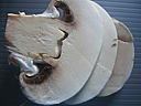 Crêpes aux champignons et au saumon fumé - 3.2