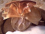 Image : recette Aumônières aux pommes