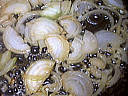 Champignons forestiers - 2.3