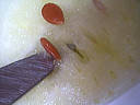 Confiture de pastèque et de pommes à l'orange - 1.2