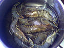 Potage aux gambas - 9.1