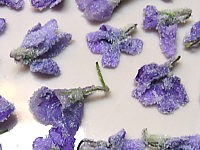 Recette Fleurs cristallisées