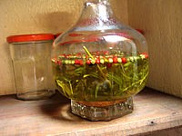 Recette Estragon au vinaigre