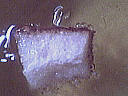 Glace aux beignets d'acacia - 10.2