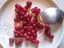 Crème aux airelles - 1.2