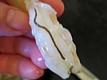 Gambas à la crème d'oignons et au Madère - 11.1