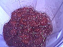 Coulis de framboises - 2.1