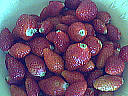Confiture de fraises - 2.1