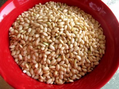 riz doux
