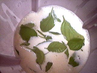 basilic