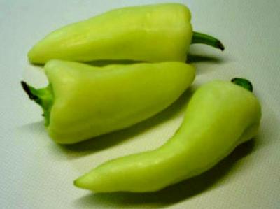 Image : Paprika -