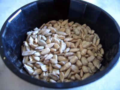 Image : Graines de tournesol - Graines de tournesol