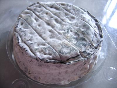 Image : Selles-sur-Cher - Fromage selle-sur-cher