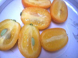 kumquat