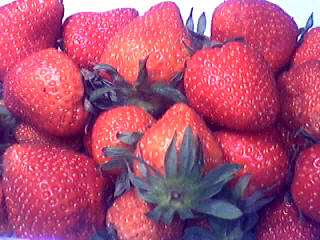 Fraises