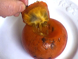 kaki