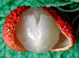 litchi