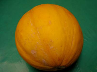 Melon d'hiver ou melon-miel