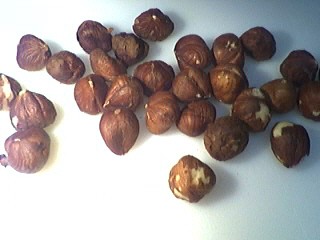 Noisettes