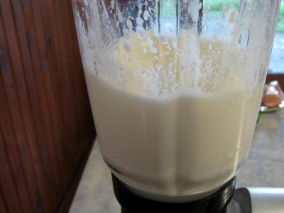 Lait de noix de coco