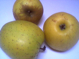 Pomme Golden