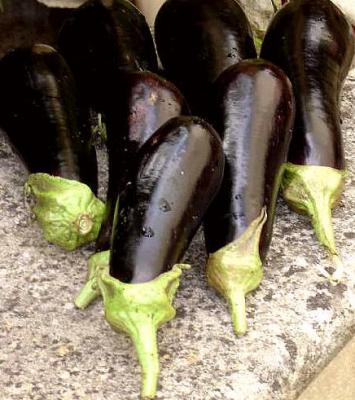 aubergine violette