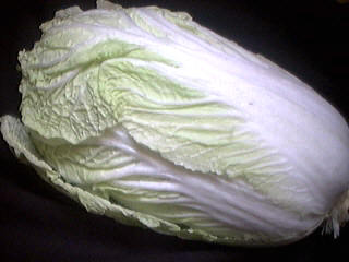 Photo : Chou chinois