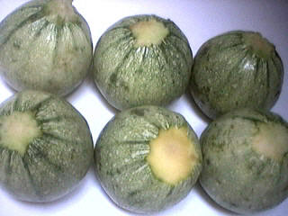 Courgettes ronde de nice