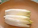 endive