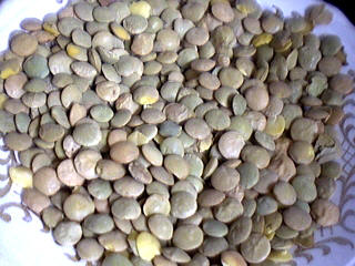 lentilles