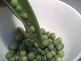 écosser les petits pois