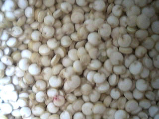 quinoa