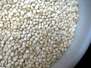 Image : Quinoa - graines de quinoa
